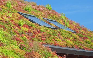 Moss End living roof systems